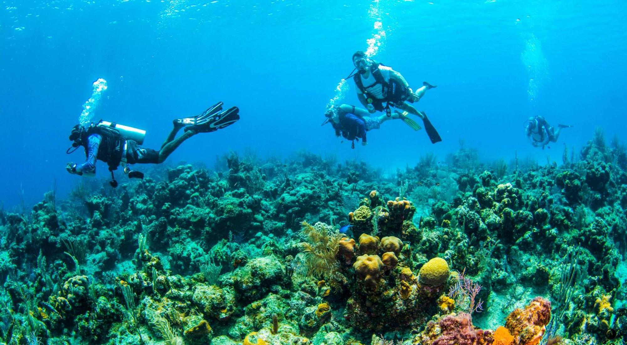 Blue Roatan Resort 西湾 外观 照片