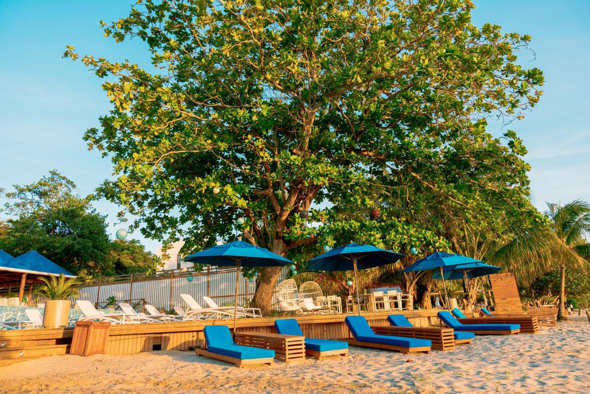 Blue Roatan Resort 西湾 外观 照片